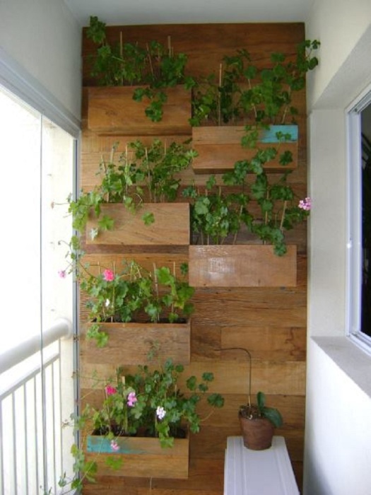 балкон с растениями
