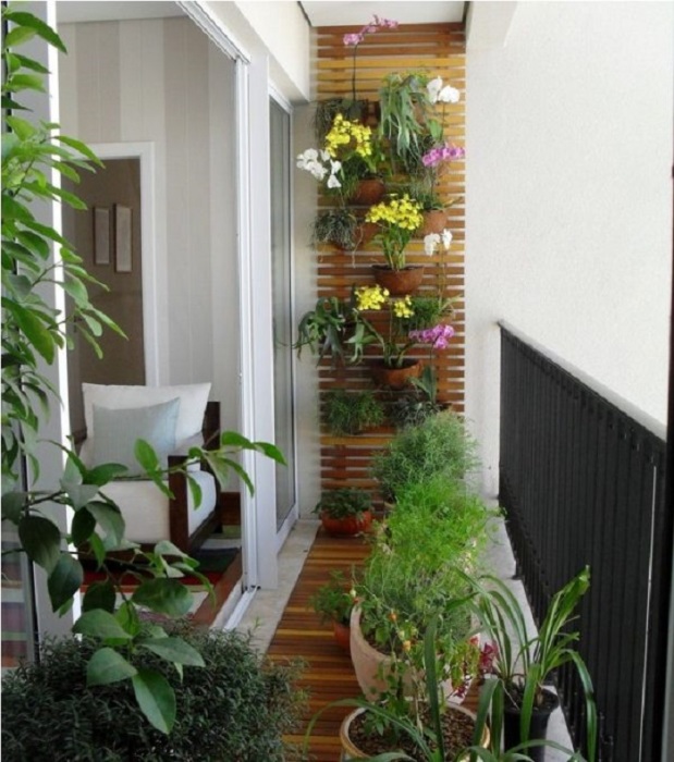 современный балкон с цветами